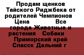 Продам щенков Тайского Риджбека от родителей Чемпионов › Цена ­ 30 000 - Все города Животные и растения » Собаки   . Приморский край,Спасск-Дальний г.
